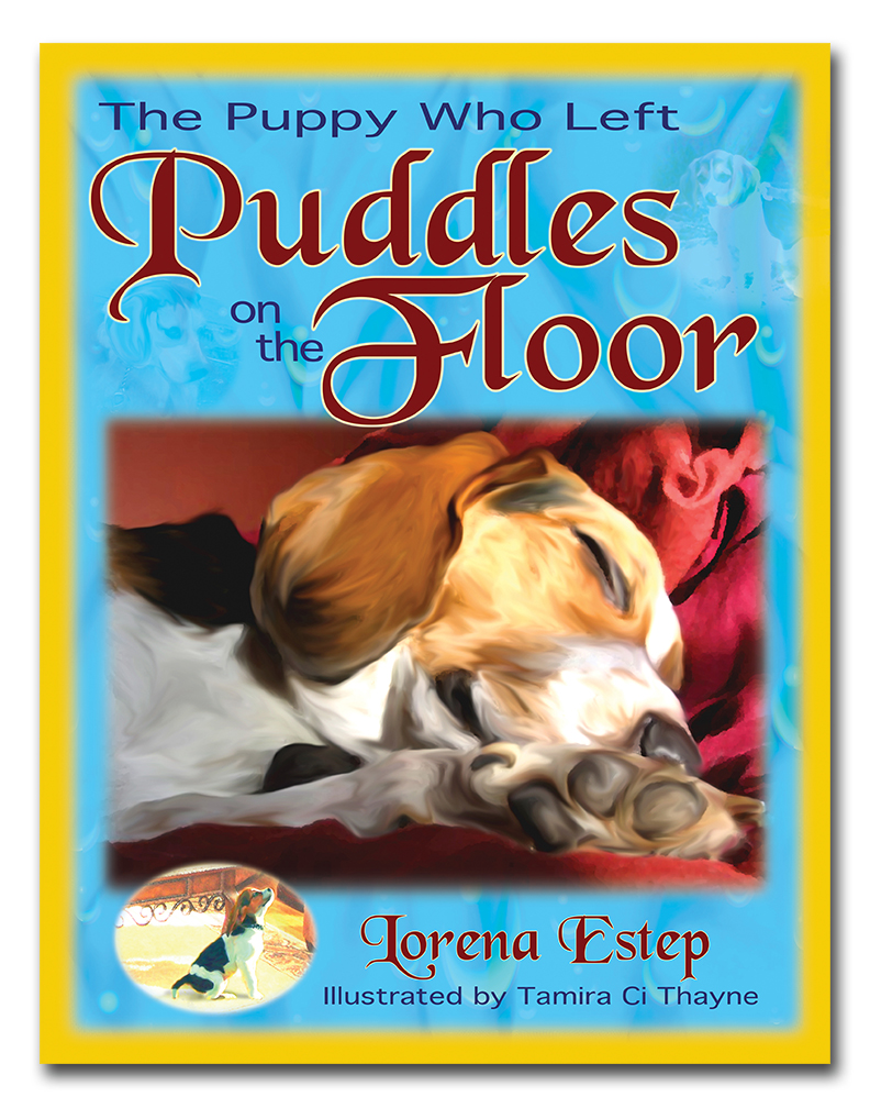 Puddles on the Floor